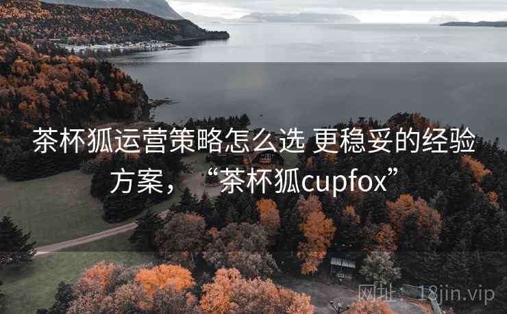 茶杯狐运营策略怎么选 更稳妥的经验方案，“茶杯狐cupfox”