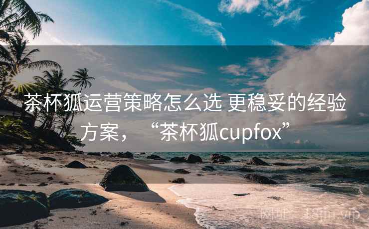 茶杯狐运营策略怎么选 更稳妥的经验方案，“茶杯狐cupfox”
