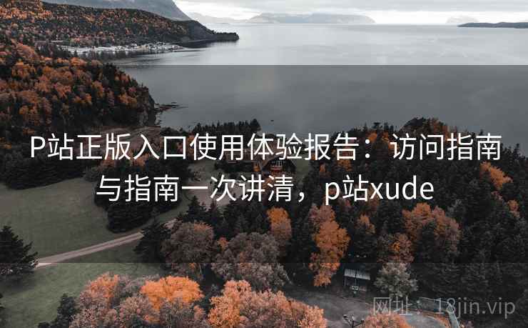 P站正版入口使用体验报告：访问指南与指南一次讲清，p站xude
