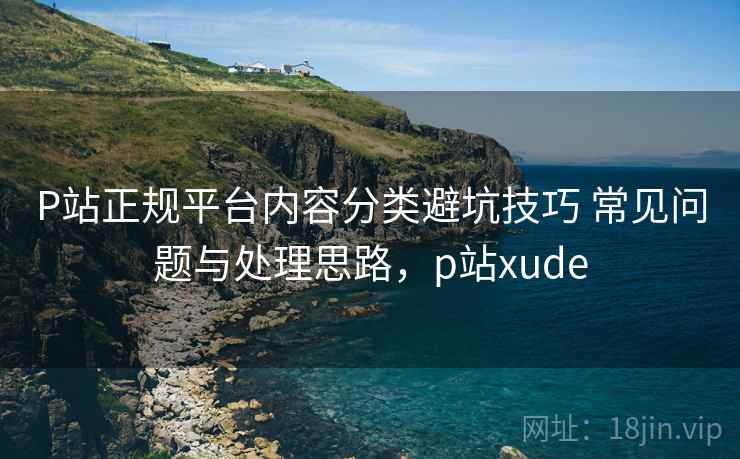 P站正规平台内容分类避坑技巧 常见问题与处理思路，p站xude