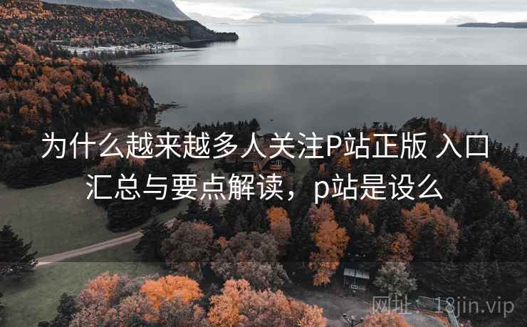 为什么越来越多人关注P站正版 入口汇总与要点解读，p站是设么