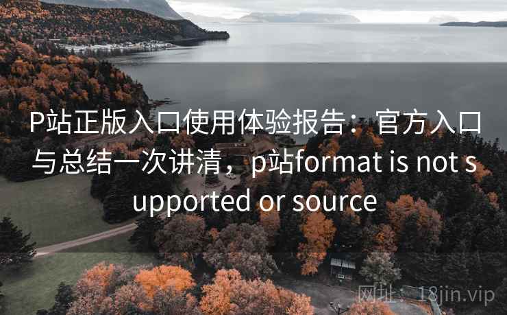 P站正版入口使用体验报告：官方入口与总结一次讲清，p站format is not supported or source