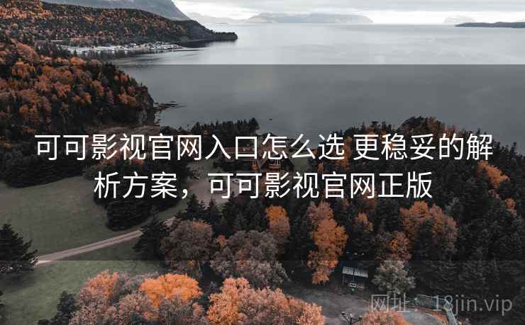 可可影视官网入口怎么选 更稳妥的解析方案，可可影视官网正版