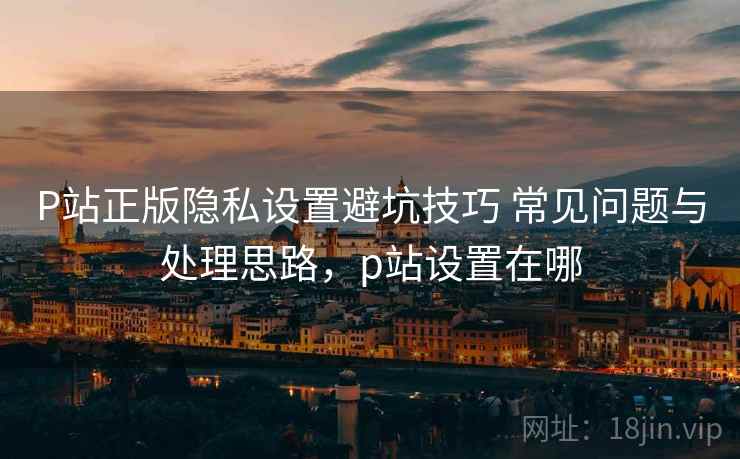 P站正版隐私设置避坑技巧 常见问题与处理思路，p站设置在哪