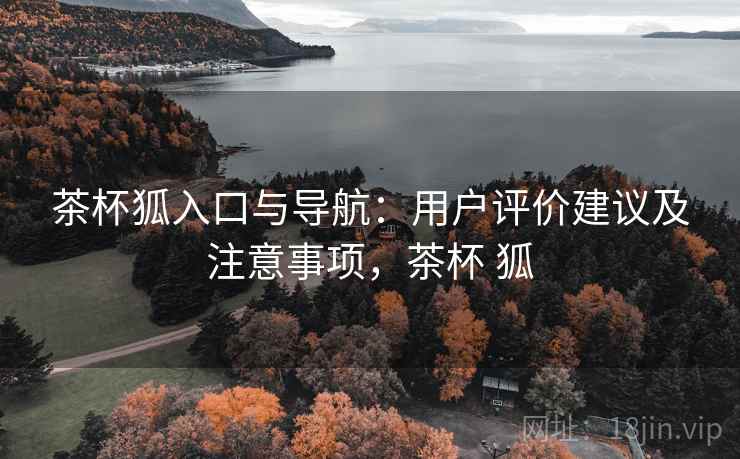 茶杯狐入口与导航:用户评价建议及注意事项,茶杯 狐 茶杯狐入口与导航:用户评价建议及注意事项,茶杯 狐