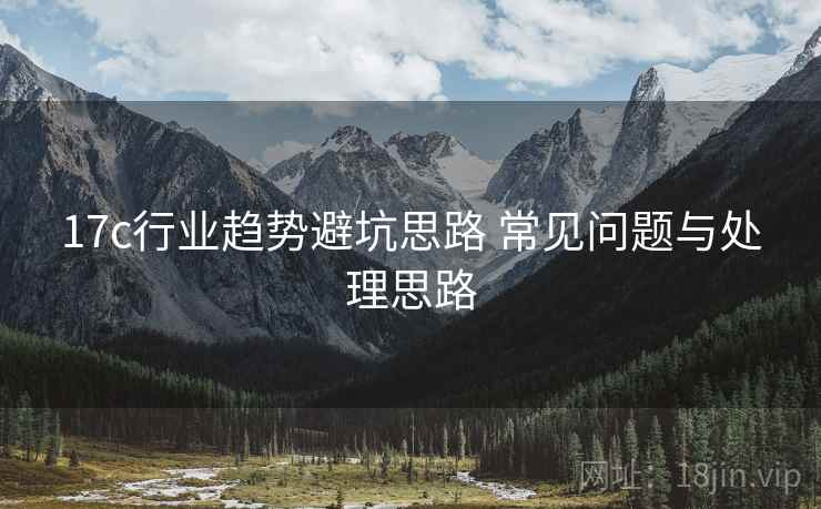 17c行业趋势避坑思路 常见问题与处理思路