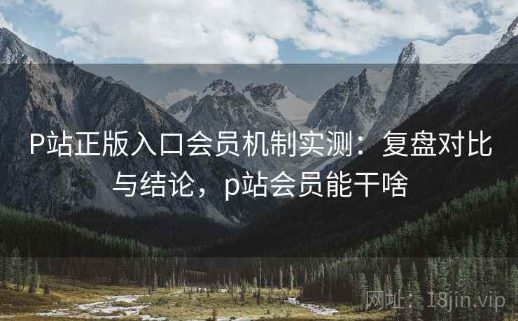 P站正版入口会员机制实测:复盘对比与结论,p站会员能干啥 P站正版入口会员机制实测:复盘对比与结论,p站会员能干啥