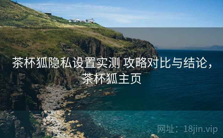 茶杯狐隐私设置实测 攻略对比与结论，茶杯狐主页