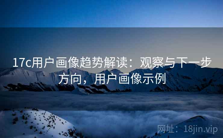 17c用户画像趋势解读：观察与下一步方向，用户画像示例