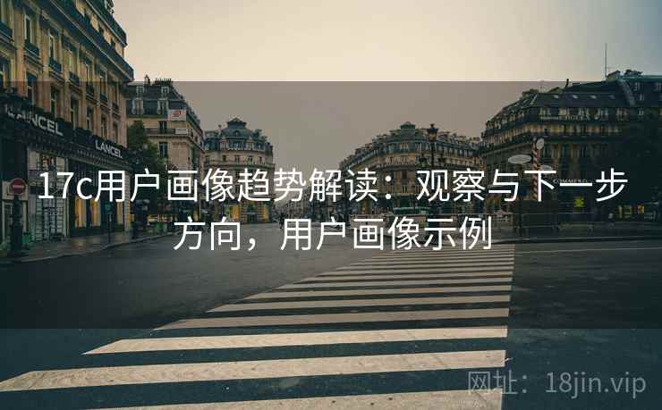 17c用户画像趋势解读：观察与下一步方向，用户画像示例