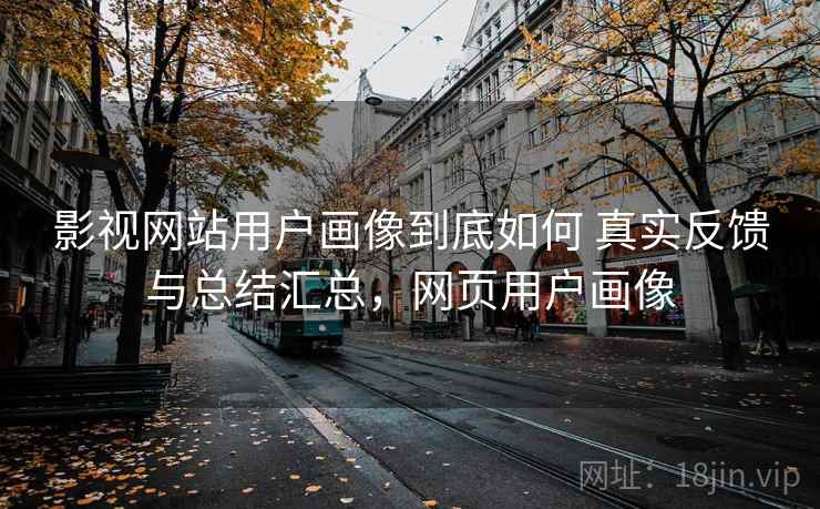 影视网站用户画像到底如何 真实反馈与总结汇总，网页用户画像